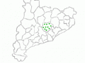 municipi