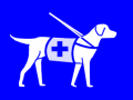 assistance dog_10a