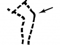 rodilla rodilla