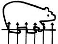 zoo