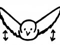 volar